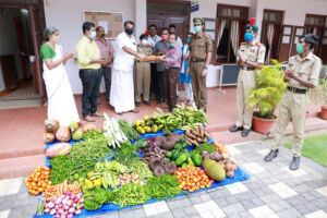 VEGETABLE DONATION