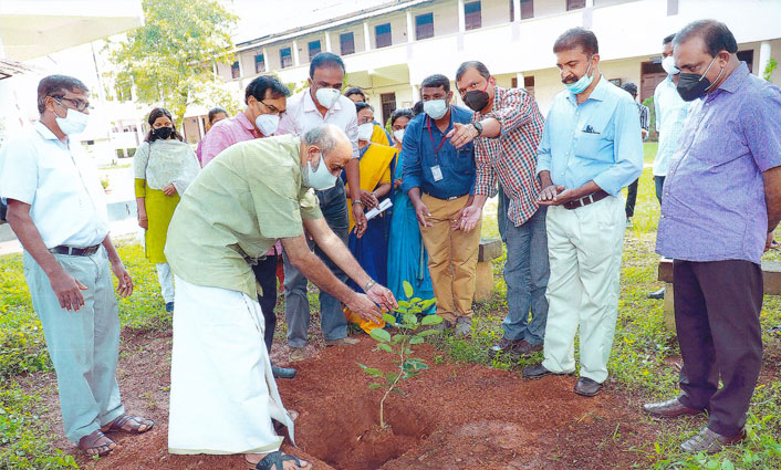 Miyawaki Afforestation